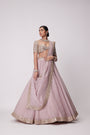 Ash Pink Flower Border Organza Lehenga Set