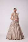 Light Beige Sequin Embroidered Lehenga Set