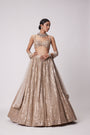 Light Beige Hand Embroidered Lehenga Set