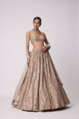Light Beige Hand Embroidered Lehenga Set