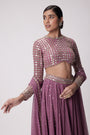 Mud  Mauve Hand Embroidered Lehenga Pants Set