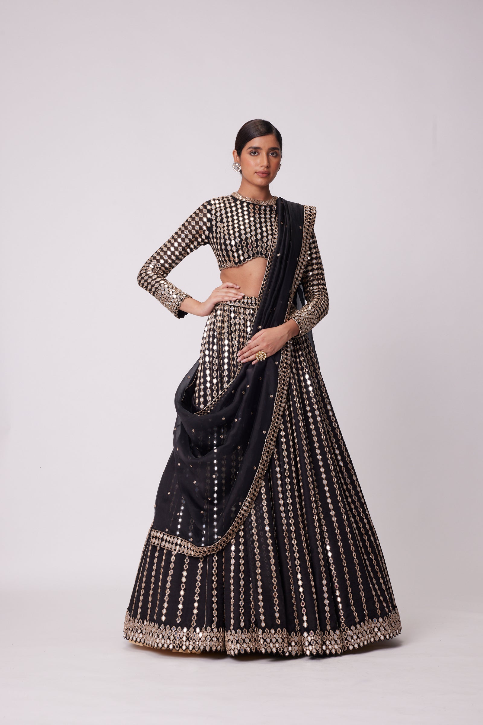 Black Linear Mirror Embroidered Organza Lehenga Set