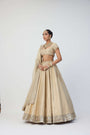 Golden Shimmer Organza Linear Lehenga Set