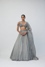 Crystal Grey Sequins Scattered Lehenga Set