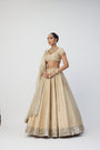 Golden Shimmer Organza Linear Lehenga Set