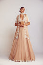 Beige Organza Lehenga Set