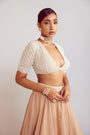 Beige Organza Lehenga Set