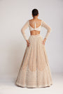 Beige Chandelier Pearl Lehenga Set