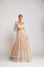Beige Chandelier Pearl Lehenga Set