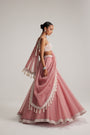 Dusty Rose Organza mirror and pearl lehenga set
