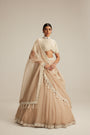 Light Beige High Neck Organza mirror and pearl lehenga set