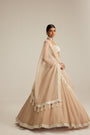 Light Beige Organza mirror and pearl lehenga set