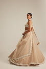Light Beige Organza mirror and pearl lehenga set