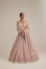 Ash Pink Pearl Mirror linear Lehenga with V neck Blouse