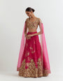 Rosa gota embroidered blouse with attached cape dupatta paired with organza silk gota embroidered skirt