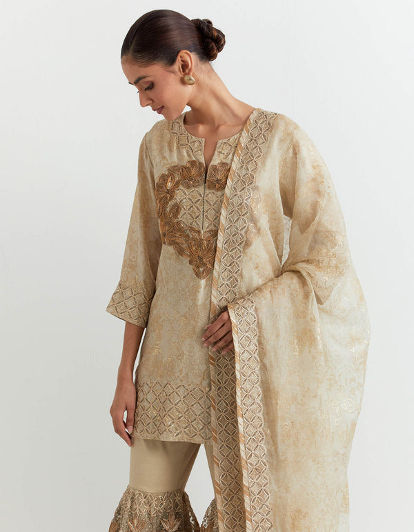 Silk gota work embroidered kurti paired with mesh embroidered garara and organza dupatta